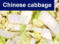 Chinese cabbage